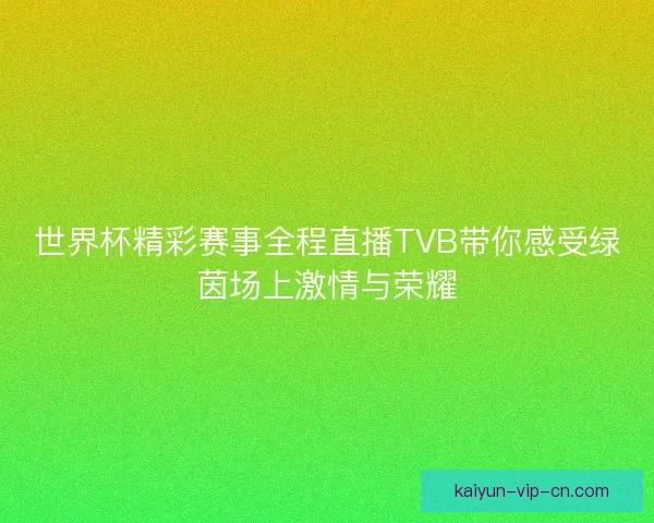 世界杯精彩赛事全程直播TVB带你感受绿茵场上激情与荣耀