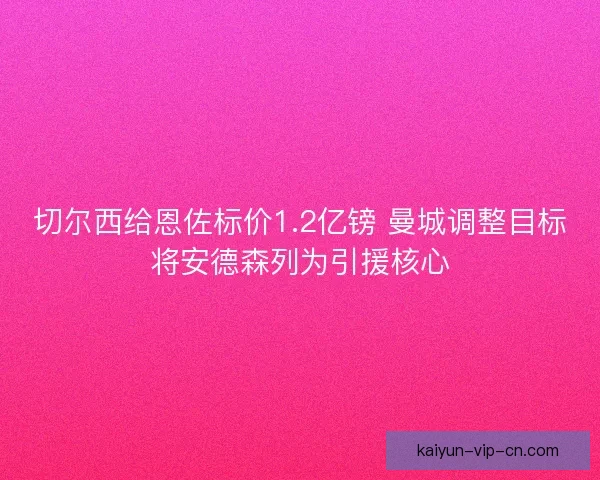 切尔西给恩佐标价1.2亿镑 曼城调整目标将安德森列为引援核心
